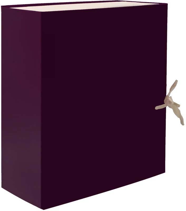 папка-короб архивная бумвинил 20 см 2 завязки бордо, разборный Папка-короб архивная бумвинил 20 см 2 завязки бордо, разборный