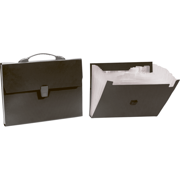 папка-портфель пласт. 13 отд. а4 "daily" черный Папка-портфель пласт. 13 отд. а4 "daily" черный