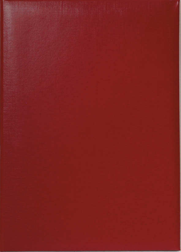 папка б/н бордовая Папка б/н бордовая