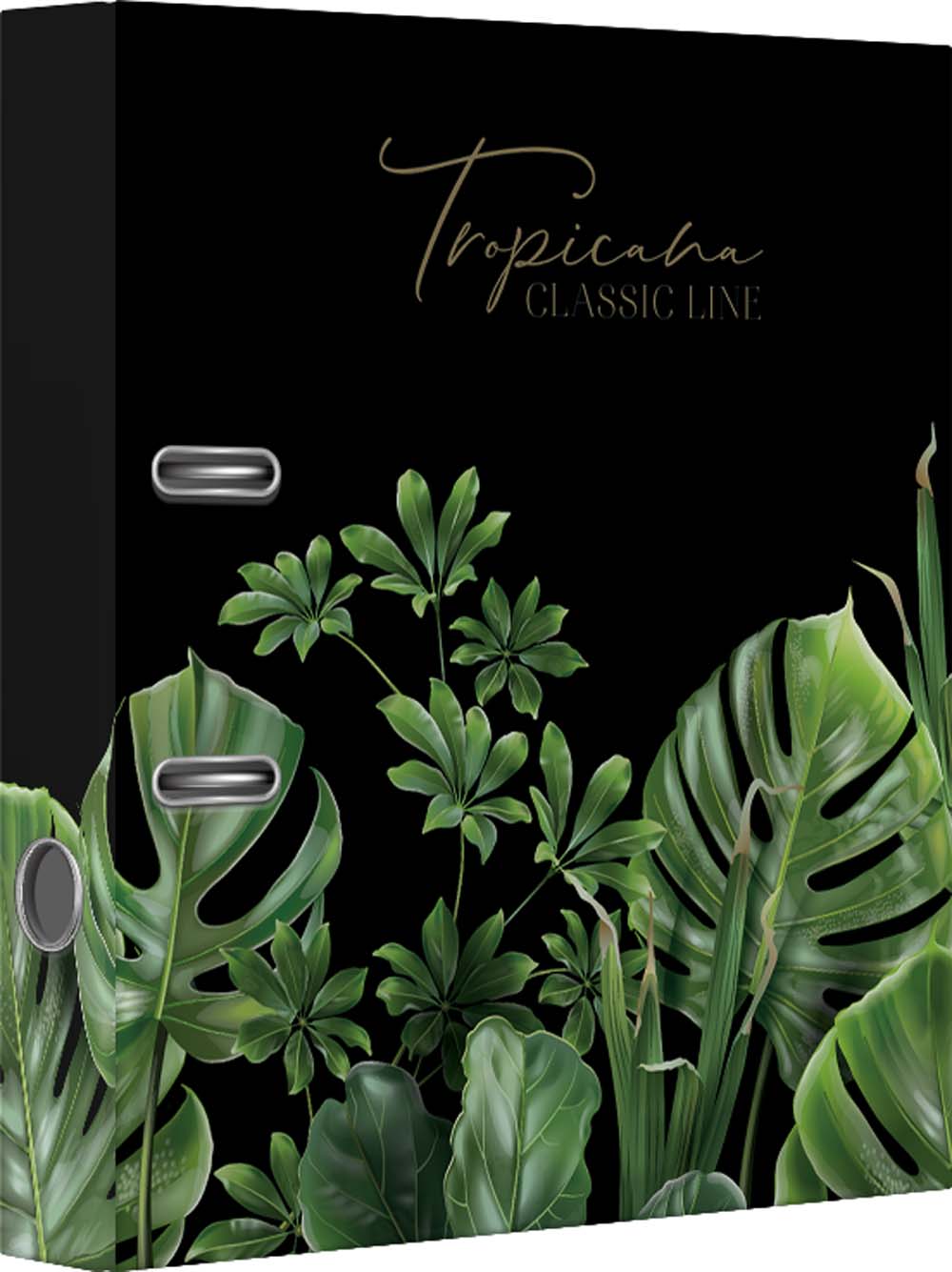 папка-регистратор 7,5см картон. ламин. devente "tropicana" металл.уголок Папка-регистратор 7,5см картон. ламин. devente "tropicana" металл.уголок