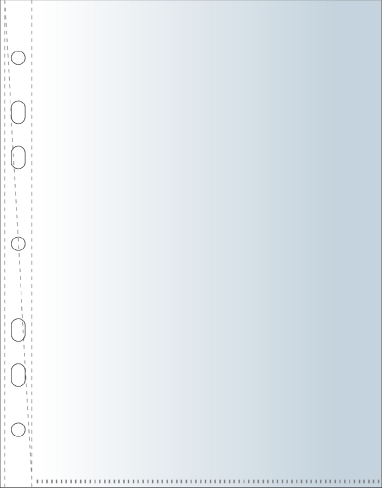 папка-вкладыш с перф. а5 30мк вертикальная 100шт Папка-вкладыш с перф. а5 30мк вертикальная 100шт