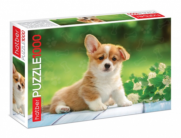 пазлы 1000 дет. "щенок" (hatber) Пазлы 1000 дет. "щенок" (hatber)