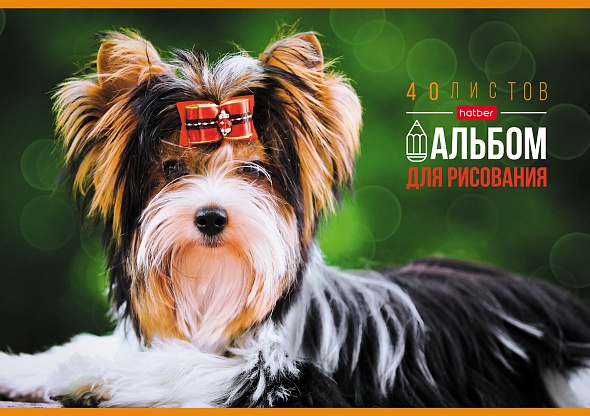 альбом д/рис. а4 40л.скрепка "любимые питомцы" (hatber) асс-т Альбом д/рис. а4 40л.скрепка "любимые питомцы" (hatber) асс-т