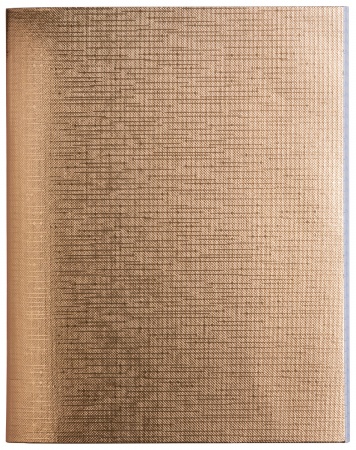 тетрадь 48 л. лин. "metallic золото" бумвинил ("hatber") б/б Тетрадь 48 л. лин. "metallic золото" бумвинил ("hatber") б/б