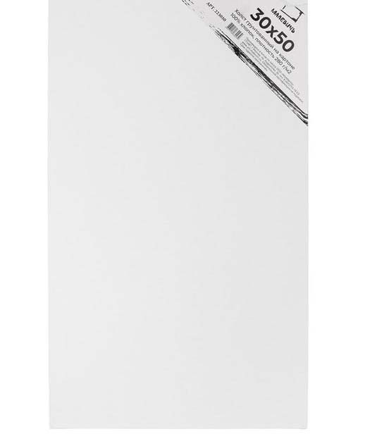 холст на картоне 30х50см "малевичъ" Холст на картоне 30х50см "малевичъ"