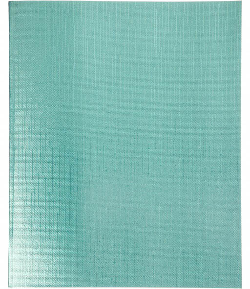 тетрадь бумвинил metallic 48л. кл. мята (hatber) б/б Тетрадь бумвинил metallic 48л. кл. мята (hatber) б/б