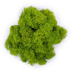 мох "blumentag" 50гр салатовый Мох "blumentag" 50гр салатовый