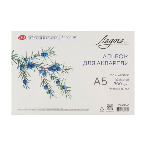 альбом для акварели "ладога" а5 12л 300гр 100% хлопок крупное зерно склейка Альбом для акварели "ладога" а5 12л 300гр 100% хлопок крупное зерно склейка