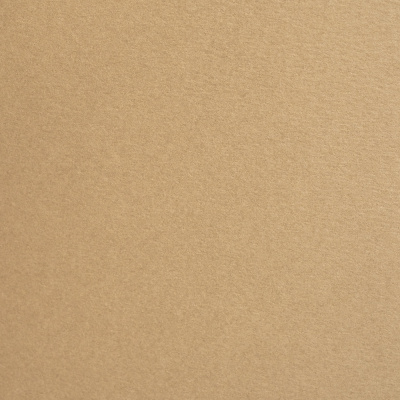 бумага для пастели "малевичъ" а2 270гр 100% целлюлоза бежевый Бумага для пастели "малевичъ" а2 270гр 100% целлюлоза бежевый