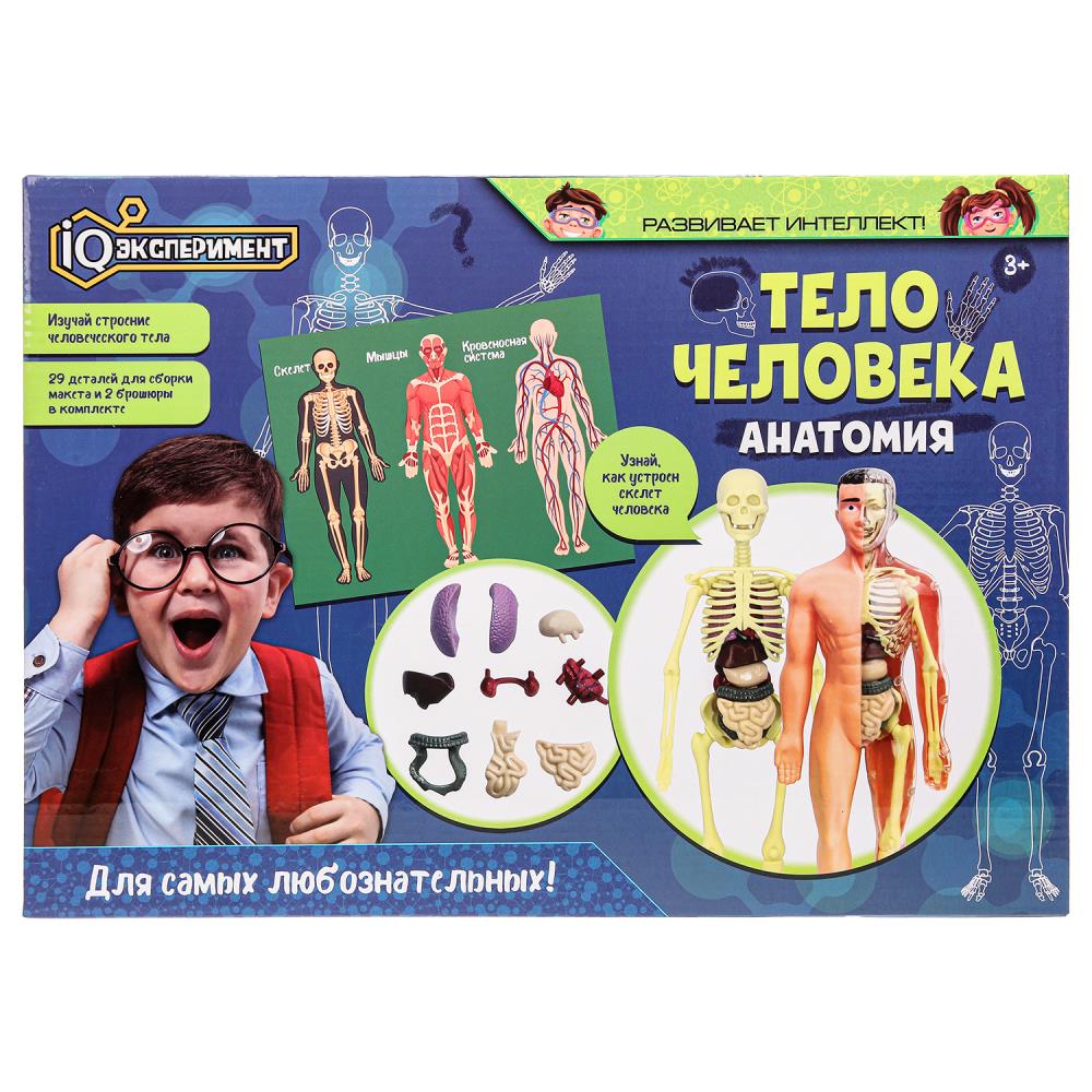 игра iq эксперимент "тело человека. анатомия" Игра iq эксперимент "тело человека. анатомия"