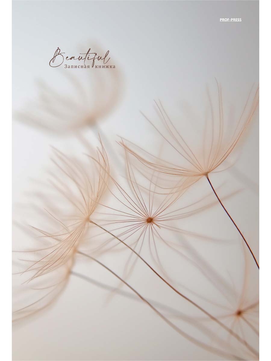 тетрадь а4 тв.обл. 80л. кл. "бежевый тон" (проф-пресс) глянц.лам. Тетрадь а4 тв.обл. 80л. кл. "бежевый тон" (проф-пресс) глянц.лам.