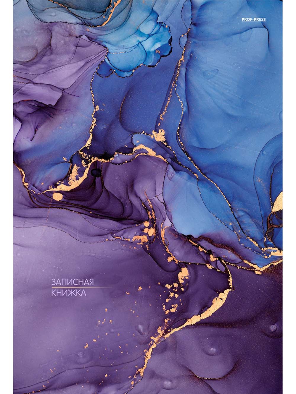 тетрадь а4 тв.обл. 160л. кл. "синий и фиолетовый мрамор" (проф-пресс) Тетрадь а4 тв.обл. 160л. кл. "синий и фиолетовый мрамор" (проф-пресс)