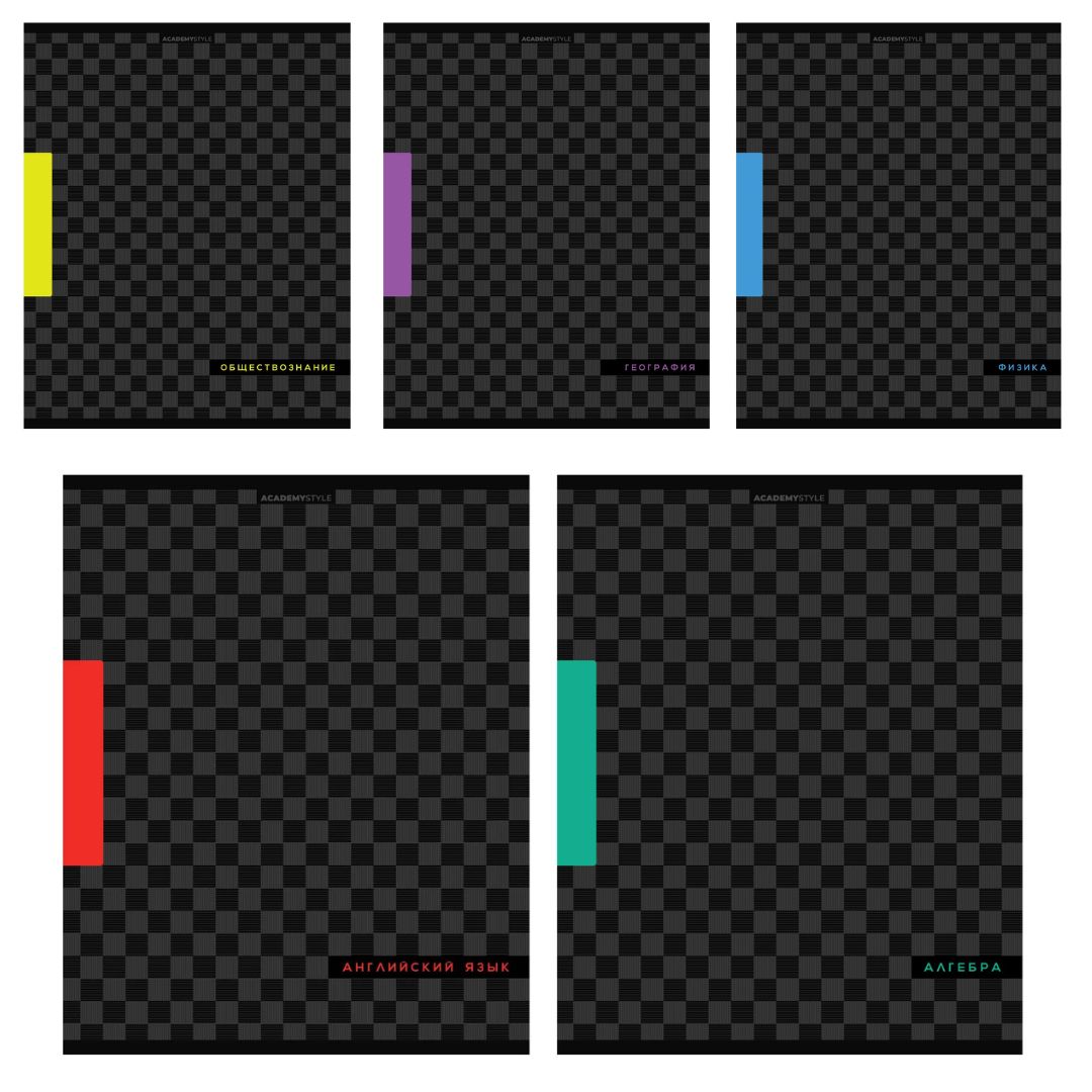 тетради предметные "шахматка" комплект 10шт. 48л. (academy style) твин лак Тетради предметные "шахматка" комплект 10шт. 48л. (academy style) твин лак