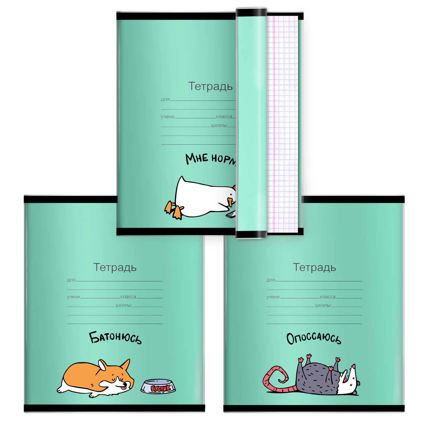 обложка для тетради пвх 120мкм феникс+ "герои с характером" (216x350мм) 3шт. Обложка для тетради пвх 120мкм феникс+ "герои с характером" (216x350мм) 3шт.