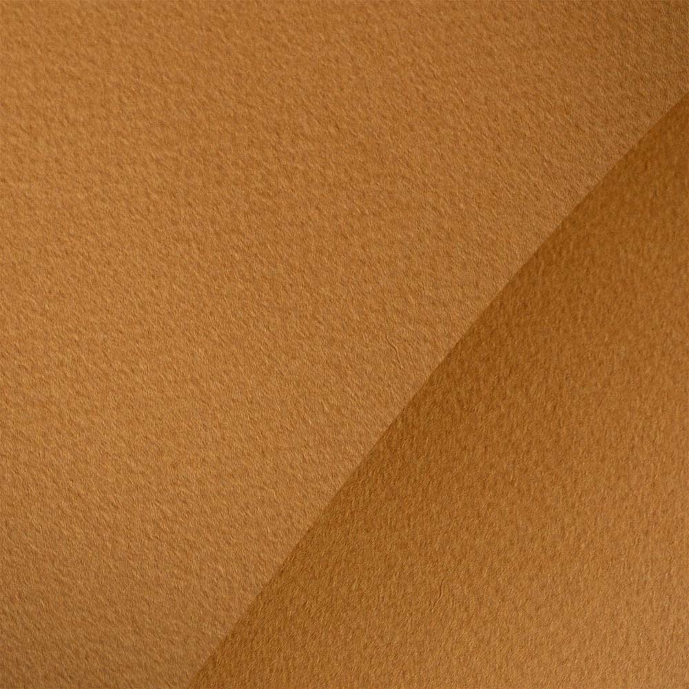 бумага для пастели "мастер-класс" 50х65см 160гр 40% хлопка сиена натуральная Бумага для пастели "мастер-класс" 50х65см 160гр 40% хлопка сиена натуральная