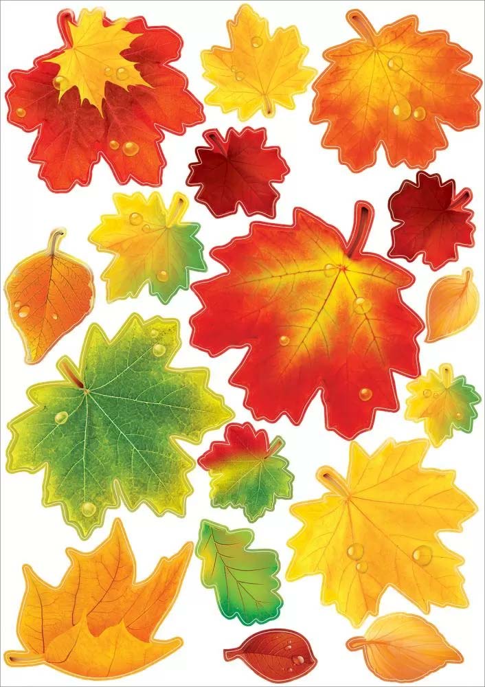 наклейка двухсторонняя "листья клёна" 470х332мм Наклейка двухсторонняя "листья клёна" 470х332мм