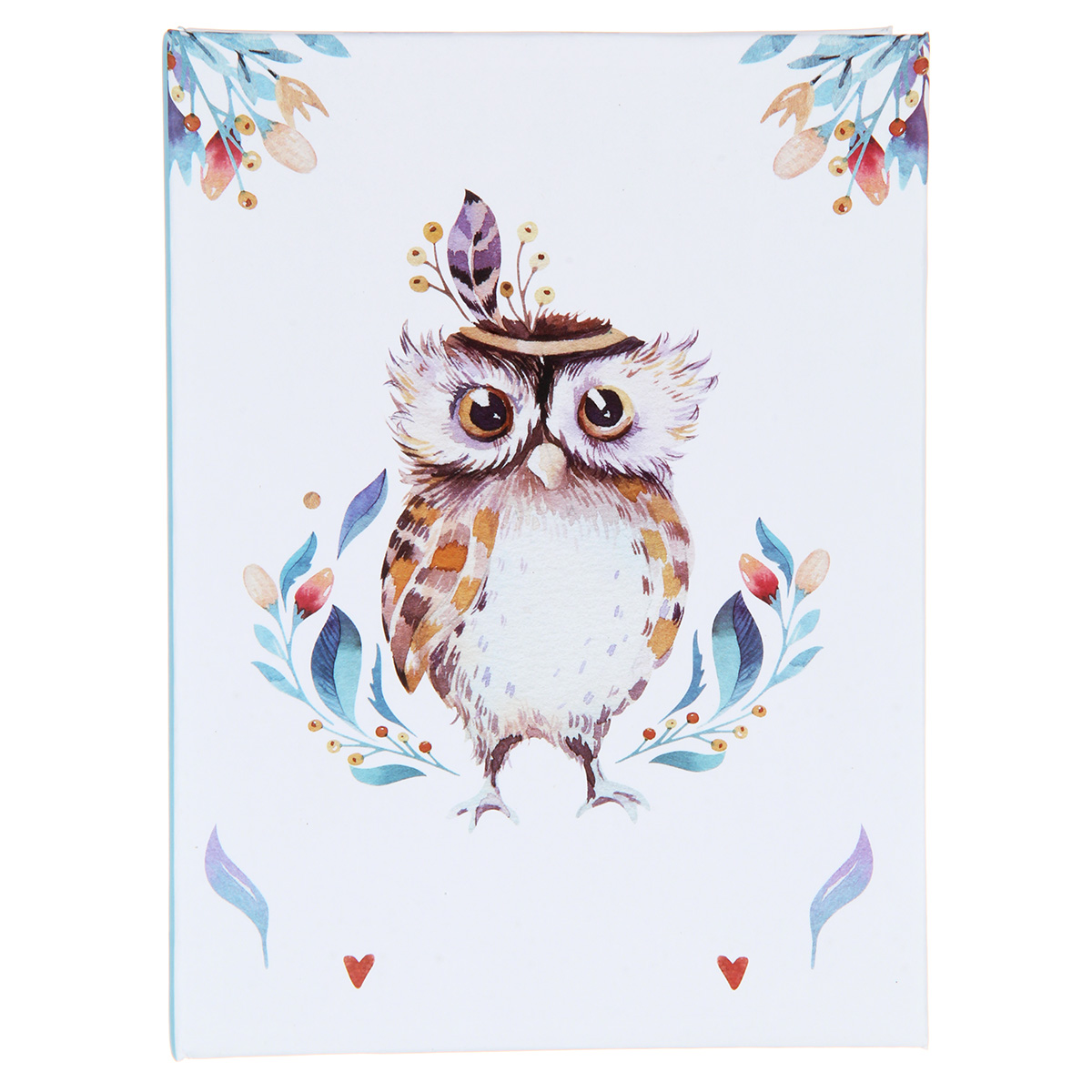 альбом для фото на 100ф. 10х15см "совушка" Альбом для фото на 100ф. 10х15см "совушка"