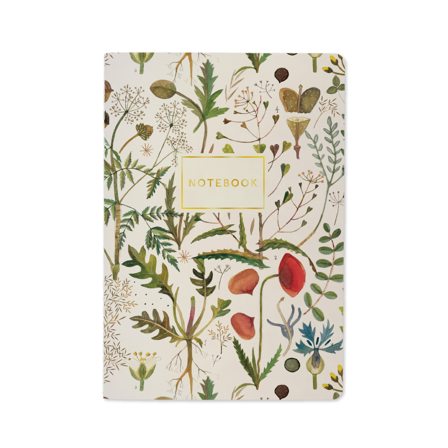 тетрадь 40л. лин. "flora. луговые травы" (bruno visconti) т/б,софт тач,фольга,цветной форзац Тетрадь 40л. лин. "flora. луговые травы" (bruno visconti) т/б,софт тач,фольга,цветной форзац