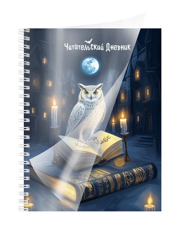 дневник читательский гребень пласт.обл. а5 56л. "сова и книга" (проф-пресс) Дневник читательский гребень пласт.обл. а5 56л. "сова и книга" (проф-пресс)