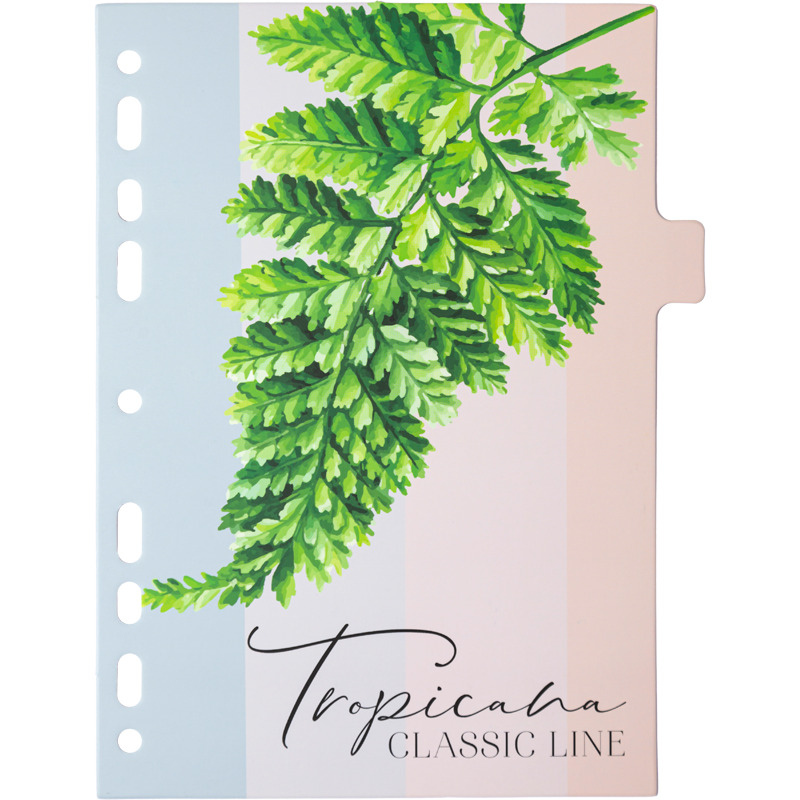 разделитель 8-цветный а5 картон devente "tropicana" 8 листов Разделитель 8-цветный а5 картон devente "tropicana" 8 листов