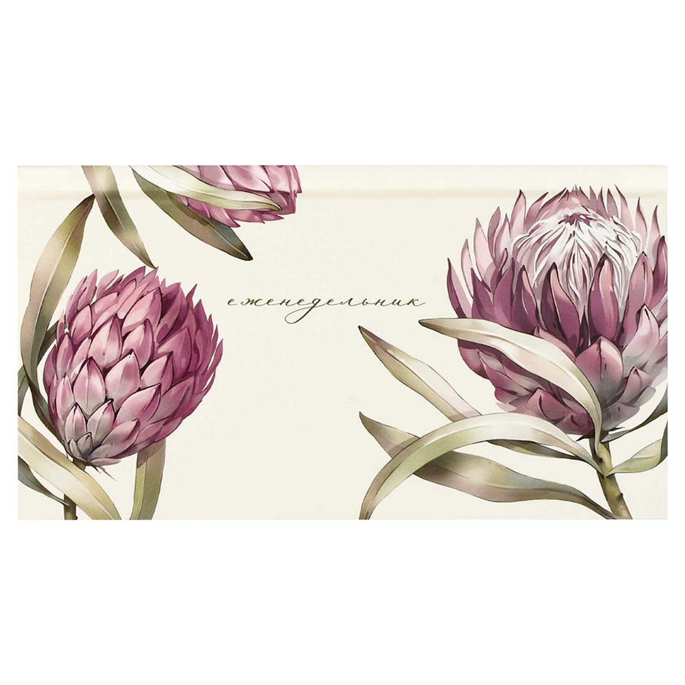 еженедельник недатир. 171х93мм феникс+ "протея" Еженедельник недатир. 171х93мм феникс+ "протея"