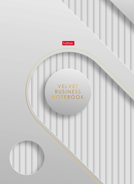 тетрадь а4 тв.обл. 160л. кл. "velvet style_white" (hatber) 5-цв.бл.,мат.лам.,выб.лак Тетрадь а4 тв.обл. 160л. кл. "velvet style_white" (hatber) 5-цв.бл.,мат.лам.,выб.лак