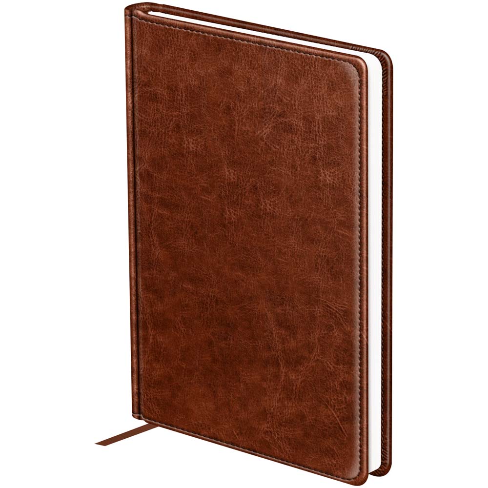 ежедневник недатир. а5 bg "nebraska. brown" коричневый кож.зам. Ежедневник недатир. а5 bg "nebraska. brown" коричневый кож.зам.