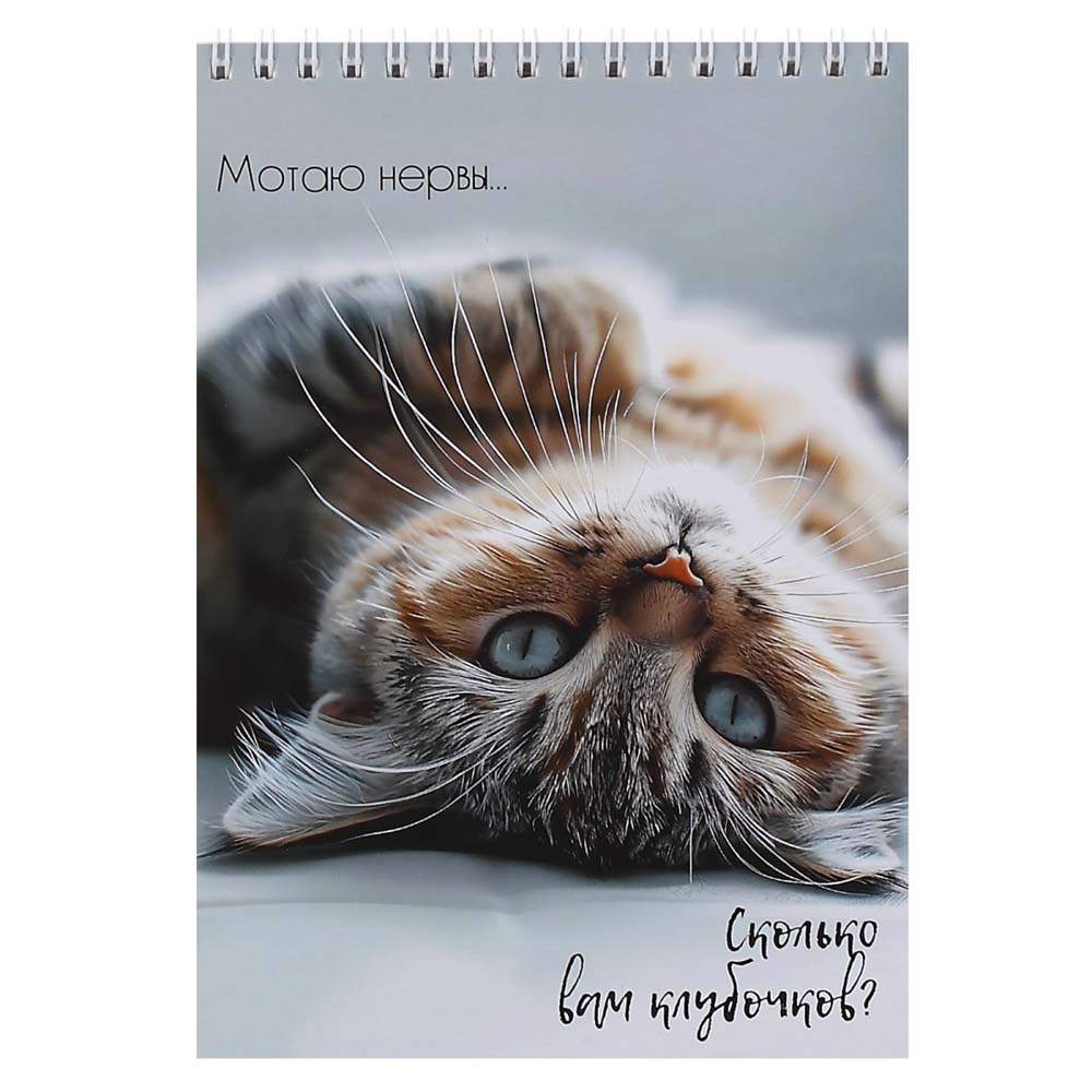 скетчбук 140х200мм 30л. гребень "кошачья жизнь" (кокос) 180г/м2 Скетчбук 140х200мм 30л. гребень "кошачья жизнь" (кокос) 180г/м2