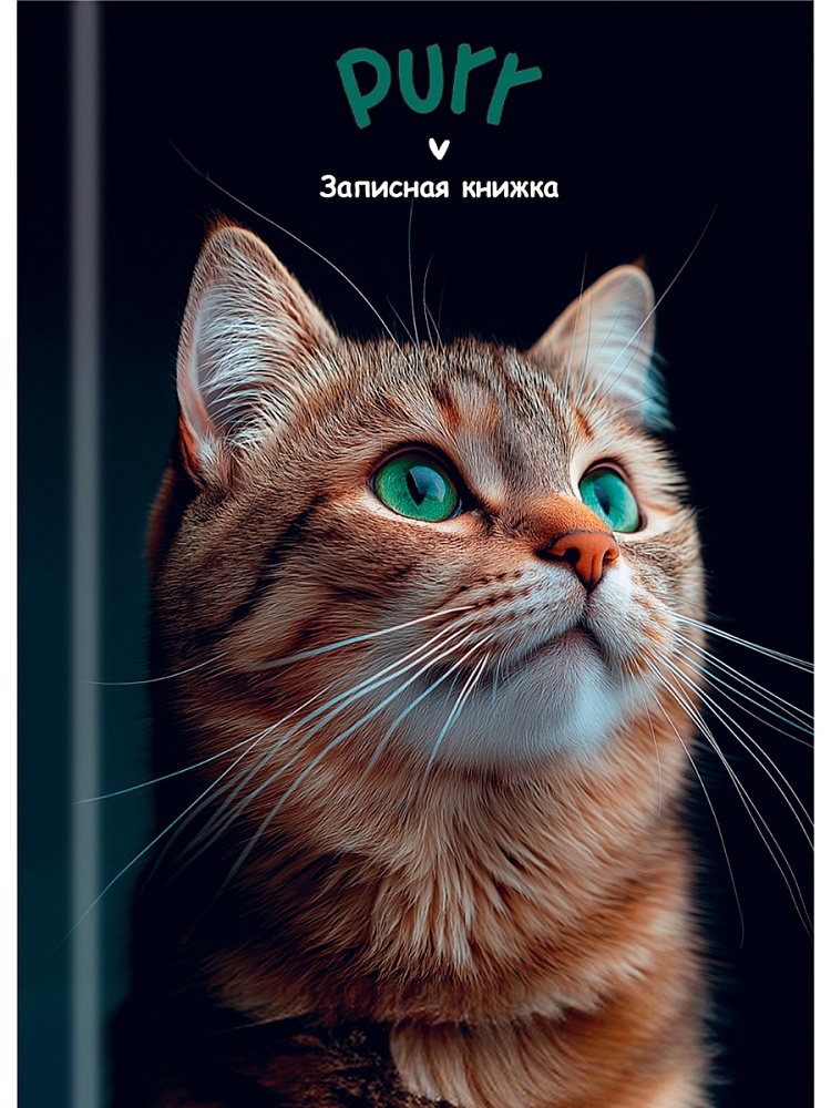 книжка записная а7 тв.обл. 48л. "зеленоглазый котик-1" (проф-пресс) глянц.лам. Книжка записная а7 тв.обл. 48л. "зеленоглазый котик-1" (проф-пресс) глянц.лам.
