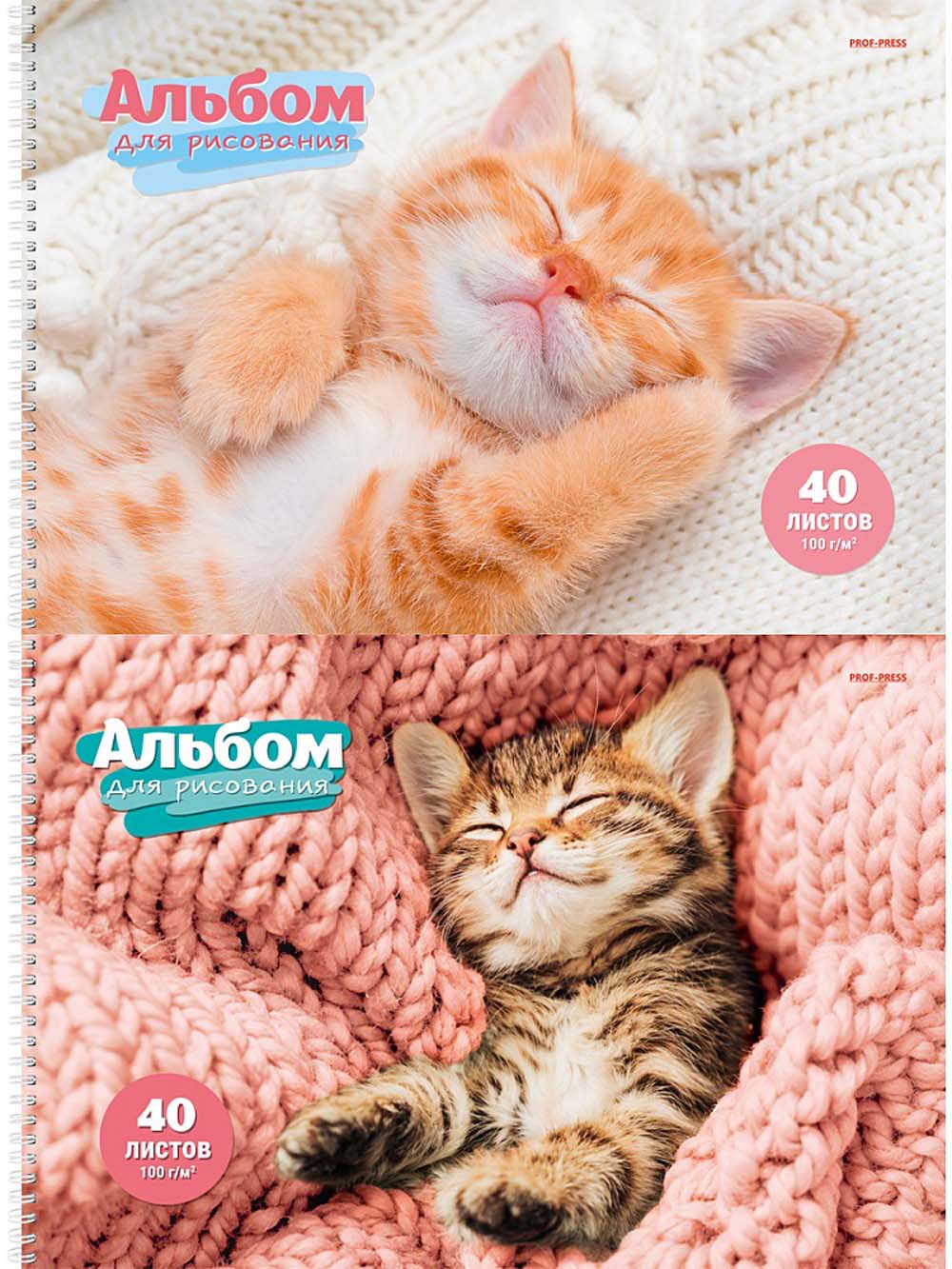 альбом д/рис. а4 40л.гребень "спящие котята" (проф-пресс) асс-т Альбом д/рис. а4 40л.гребень "спящие котята" (проф-пресс) асс-т