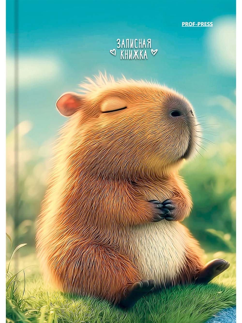книжка записная а6 тв.обл. 64л. кл. "милая капибара-2" (проф-пресс) глянц.лам. Книжка записная а6 тв.обл. 64л. кл. "милая капибара-2" (проф-пресс) глянц.лам.