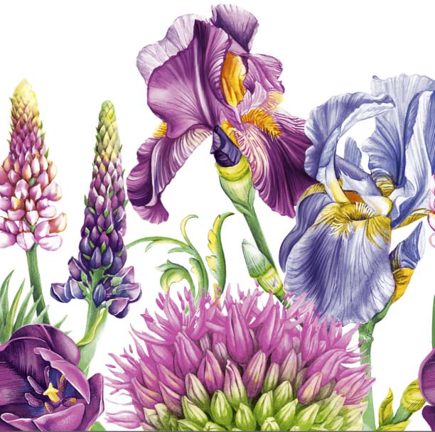 салфетки бум. 240х240мм 25 шт. 3-сл. "декоративные ирисы" Салфетки бум. 240х240мм 25 шт. 3-сл. "декоративные ирисы"