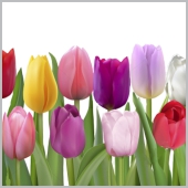 салфетки бум. 330х330мм 20 шт. 3-сл. "море тюльпанов" Салфетки бум. 330х330мм 20 шт. 3-сл. "море тюльпанов"